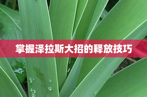 掌握泽拉斯大招的释放技巧 掌握泽拉斯大招的释放技巧
