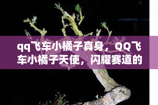 qq飞车小橘子真身，QQ飞车小橘子天使，闪耀赛道的光之翼