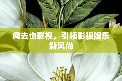 俺去也影视,引领影视娱乐新风尚 俺去也影视,引领影视娱乐新风尚