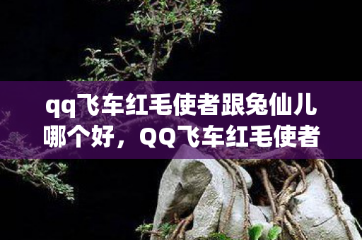 qq飞车红毛使者跟兔仙儿哪个好,QQ飞车红毛使者,神秘角色背后的故事 qq飞车红毛使者跟兔仙儿哪个好,QQ飞车红毛使者,神秘角色背后的故事