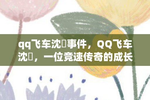 qq飞车沈珺事件,QQ飞车沈珺,一位竞速传奇的成长之路 qq飞车沈珺事件,QQ飞车沈珺,一位竞速传奇的成长之路
