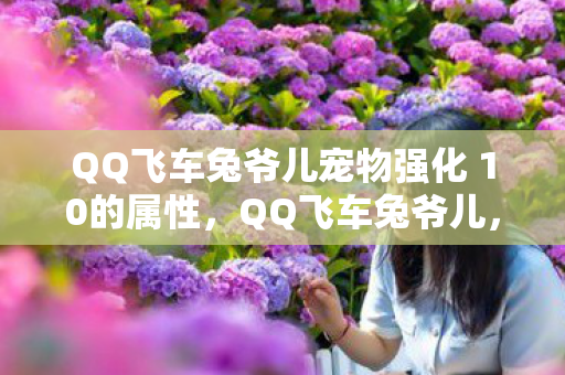 QQ飞车兔爷儿宠物强化 10的属性,QQ飞车兔爷儿,速度与激情的化身 QQ飞车兔爷儿宠物强化 10的属性,QQ飞车兔爷儿,速度与激情的化身