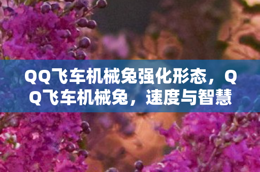 QQ飞车机械兔强化形态，QQ飞车机械兔，速度与智慧的完美结合