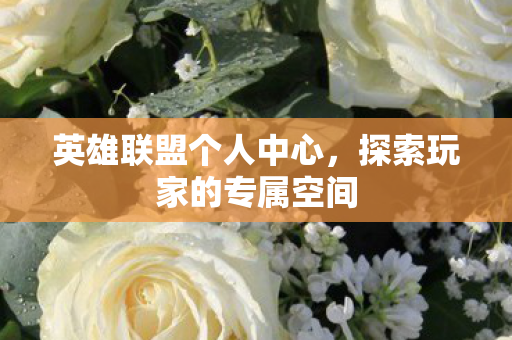 英雄联盟个人中心,探索玩家的专属空间 英雄联盟个人中心,探索玩家的专属空间