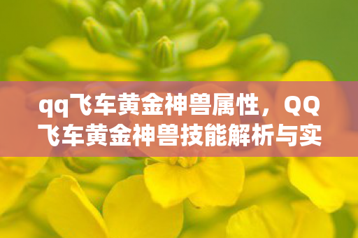 qq飞车黄金神兽属性，QQ飞车黄金神兽技能解析与实战应用指南