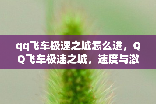 qq飞车极速之城怎么进,QQ飞车极速之城,速度与激情的完美融合 qq飞车极速之城怎么进,QQ飞车极速之城,速度与激情的完美融合