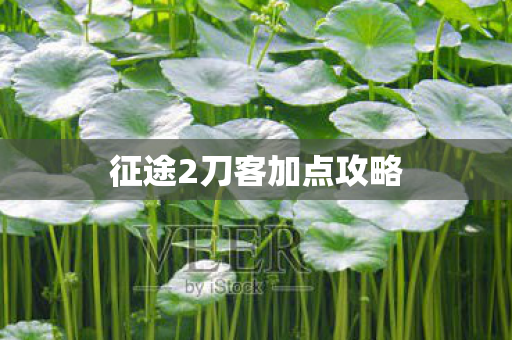 征途2刀客加点攻略