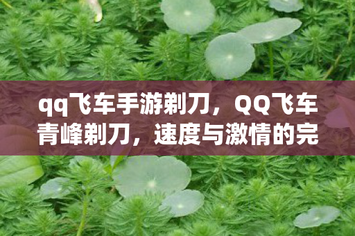 qq飞车手游剃刀，QQ飞车青峰剃刀，速度与激情的完美融合