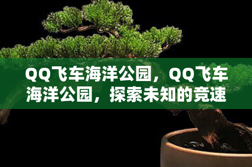 QQ飞车海洋公园，QQ飞车海洋公园，探索未知的竞速乐园