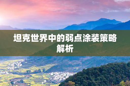 坦克世界中的弱点涂装策略解析