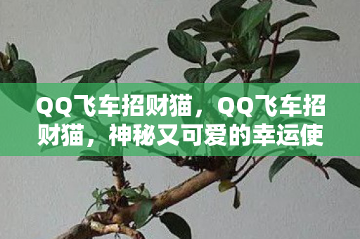 QQ飞车招财猫，QQ飞车招财猫，神秘又可爱的幸运使者