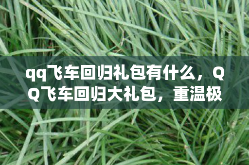 qq飞车回归礼包有什么，QQ飞车回归大礼包，重温极速世界的惊喜赠礼