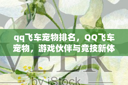 qq飞车宠物排名，QQ飞车宠物，游戏伙伴与竞技新体验