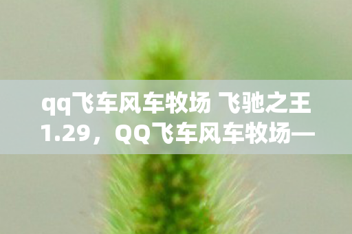 qq飞车风车牧场 飞驰之王1.29，QQ飞车风车牧场—探索无限乐趣的赛车世界