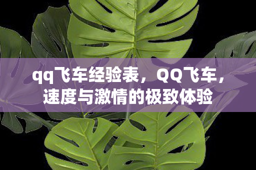 qq飞车经验表，QQ飞车，速度与激情的极致体验