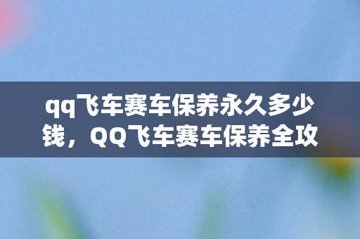 qq飞车赛车保养永久多少钱,QQ飞车赛车保养全攻略,让你的赛车持久如新 qq飞车赛车保养永久多少钱,QQ飞车赛车保养全攻略,让你的赛车持久如新