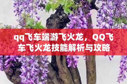 qq飞车端游飞火龙，QQ飞车飞火龙技能解析与攻略