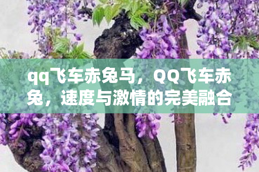 qq飞车赤兔马，QQ飞车赤兔，速度与激情的完美融合
