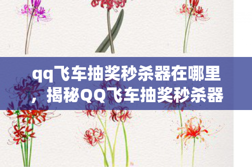 qq飞车抽奖秒杀器在哪里，揭秘QQ飞车抽奖秒杀器背后的真相与风险