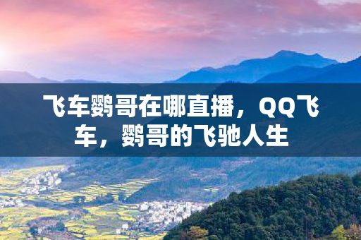 飞车鹦哥在哪直播,QQ飞车,鹦哥的飞驰人生 飞车鹦哥在哪直播,QQ飞车,鹦哥的飞驰人生