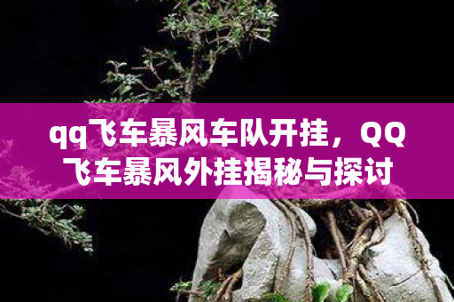 qq飞车暴风车队开挂，QQ飞车暴风外挂揭秘与探讨