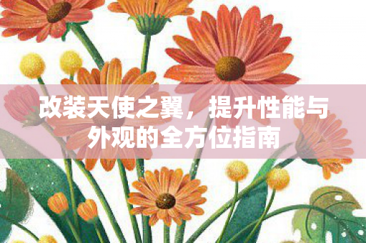 改装天使之翼，提升性能与外观的全方位指南