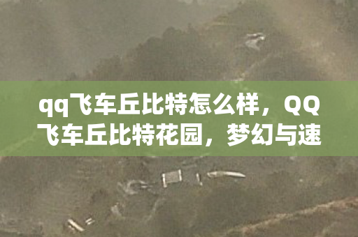 qq飞车丘比特怎么样，QQ飞车丘比特花园，梦幻与速度的交织