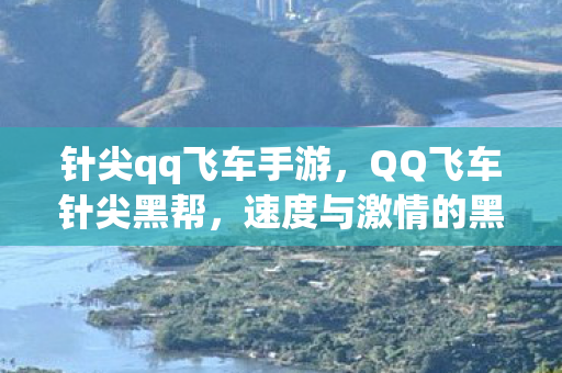 针尖qq飞车手游，QQ飞车针尖黑帮，速度与激情的黑暗势力