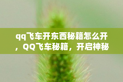 qq飞车开东西秘籍怎么开，QQ飞车秘籍，开启神秘宝藏的秘诀