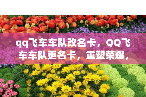 qq飞车车队改名卡，QQ飞车车队更名卡，重塑荣耀，开启新篇章