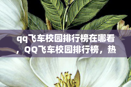 qq飞车校园排行榜在哪看，QQ飞车校园排行榜，热血竞速，青春无畏