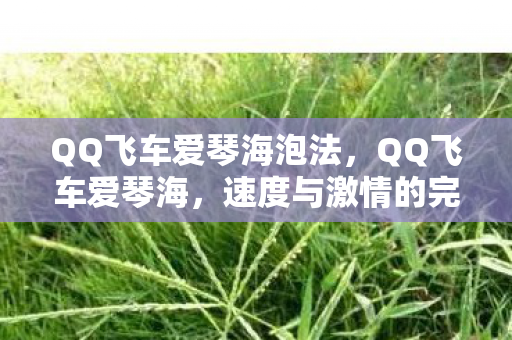 QQ飞车爱琴海泡法，QQ飞车爱琴海，速度与激情的完美融合