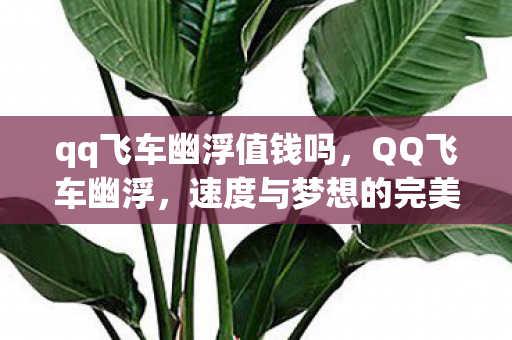 qq飞车幽浮值钱吗，QQ飞车幽浮，速度与梦想的完美融合