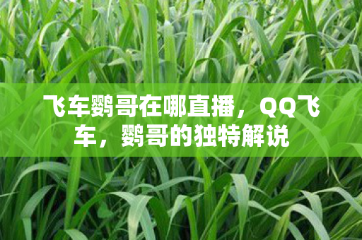 飞车鹦哥在哪直播,QQ飞车,鹦哥的独特解说 飞车鹦哥在哪直播,QQ飞车,鹦哥的独特解说