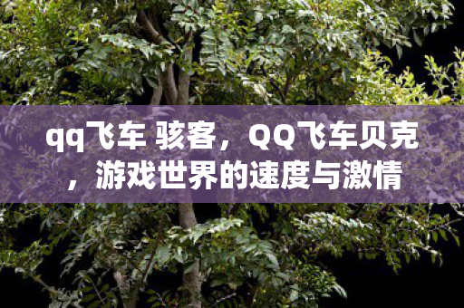 qq飞车 骇客，QQ飞车贝克，游戏世界的速度与激情