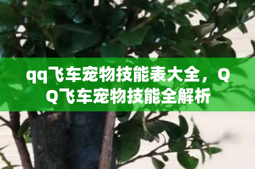 qq飞车宠物技能表大全，QQ飞车宠物技能全解析