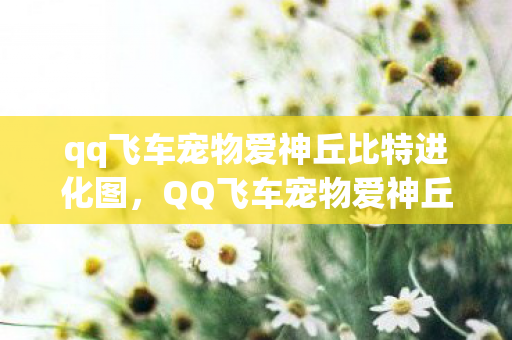 qq飞车宠物爱神丘比特进化图，QQ飞车宠物爱神丘比特，速度与爱的完美结合