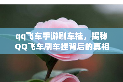 qq飞车手游刷车挂，揭秘QQ飞车刷车挂背后的真相