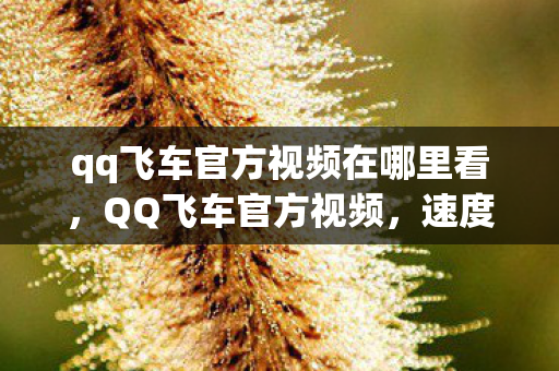 qq飞车官方视频在哪里看,QQ飞车官方视频,速度与激情的极致展现 qq飞车官方视频在哪里看,QQ飞车官方视频,速度与激情的极致展现