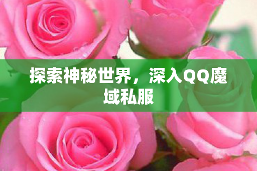 探索神秘世界，深入QQ魔域私服