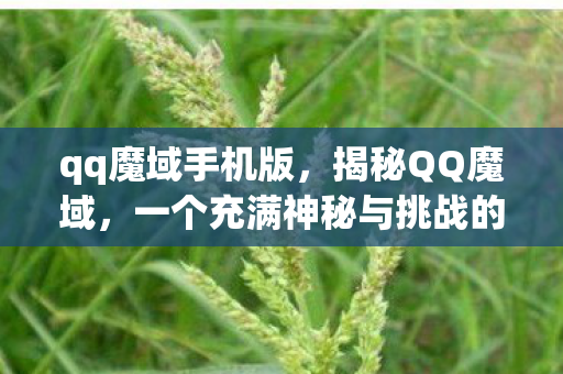qq魔域手机版,揭秘QQ魔域,一个充满神秘与挑战的奇幻世界 qq魔域手机版,揭秘QQ魔域,一个充满神秘与挑战的奇幻世界