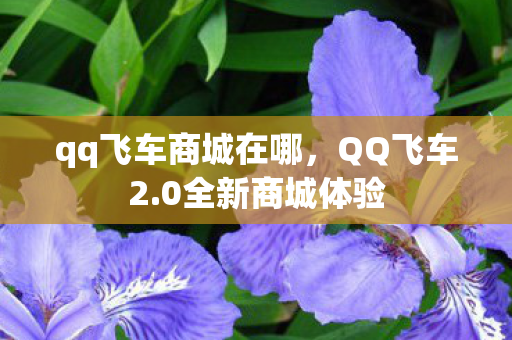qq飞车商城在哪,QQ飞车2.0全新商城体验 qq飞车商城在哪,QQ飞车2.0全新商城体验
