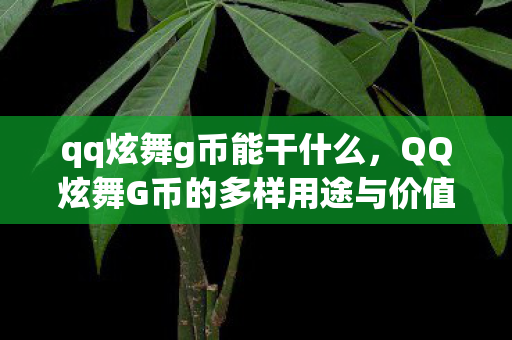 qq炫舞g币能干什么，QQ炫舞G币的多样用途与价值