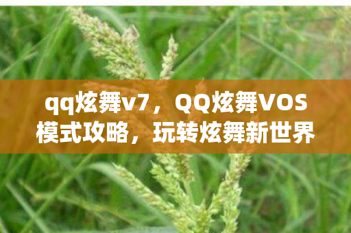 qq炫舞v7,QQ炫舞VOS模式攻略,玩转炫舞新世界 qq炫舞v7,QQ炫舞VOS模式攻略,玩转炫舞新世界