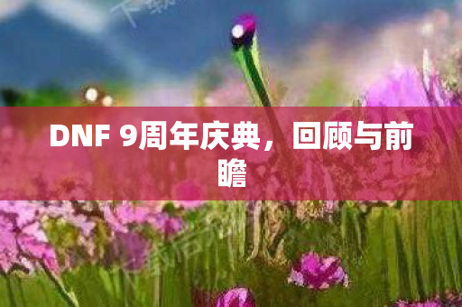 DNF 9周年庆典，回顾与前瞻