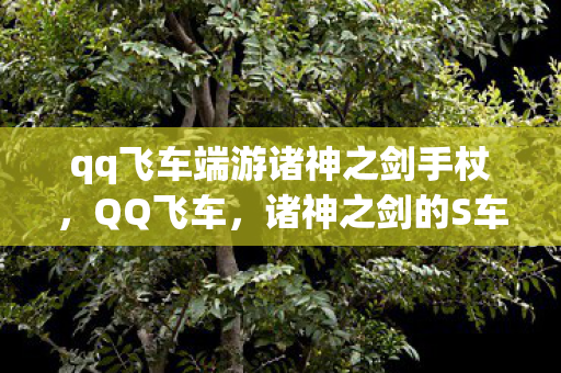 qq飞车端游诸神之剑手杖，QQ飞车，诸神之剑的S车传奇