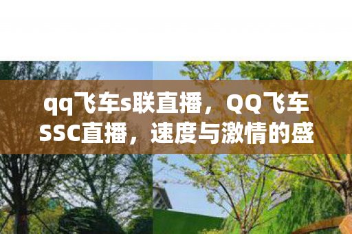 qq飞车s联直播，QQ飞车SSC直播，速度与激情的盛宴