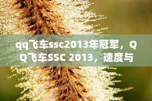 qq飞车ssc2013年冠军，QQ飞车SSC 2013，速度与激情的年度盛宴