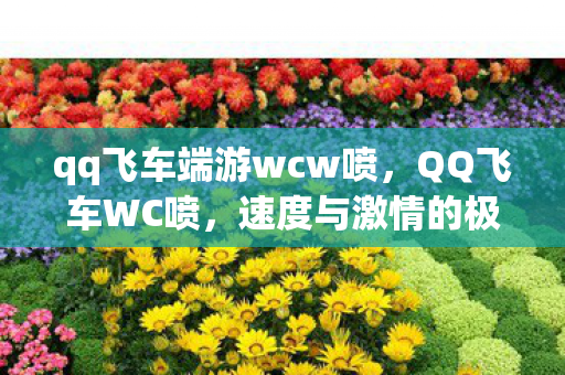 qq飞车端游wcw喷，QQ飞车WC喷，速度与激情的极致展现