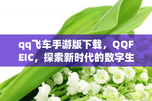 qq飞车手游版下载，QQFEIC，探索新时代的数字生活